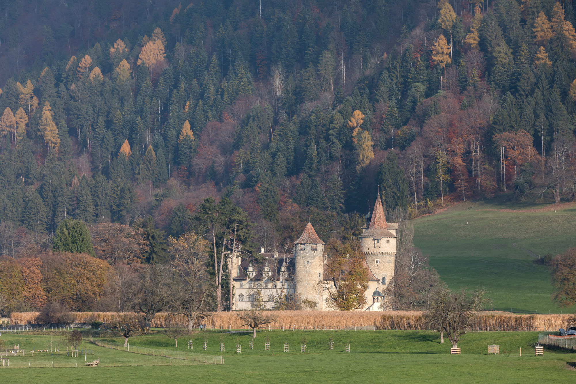 Schloss Marschlins, Igis